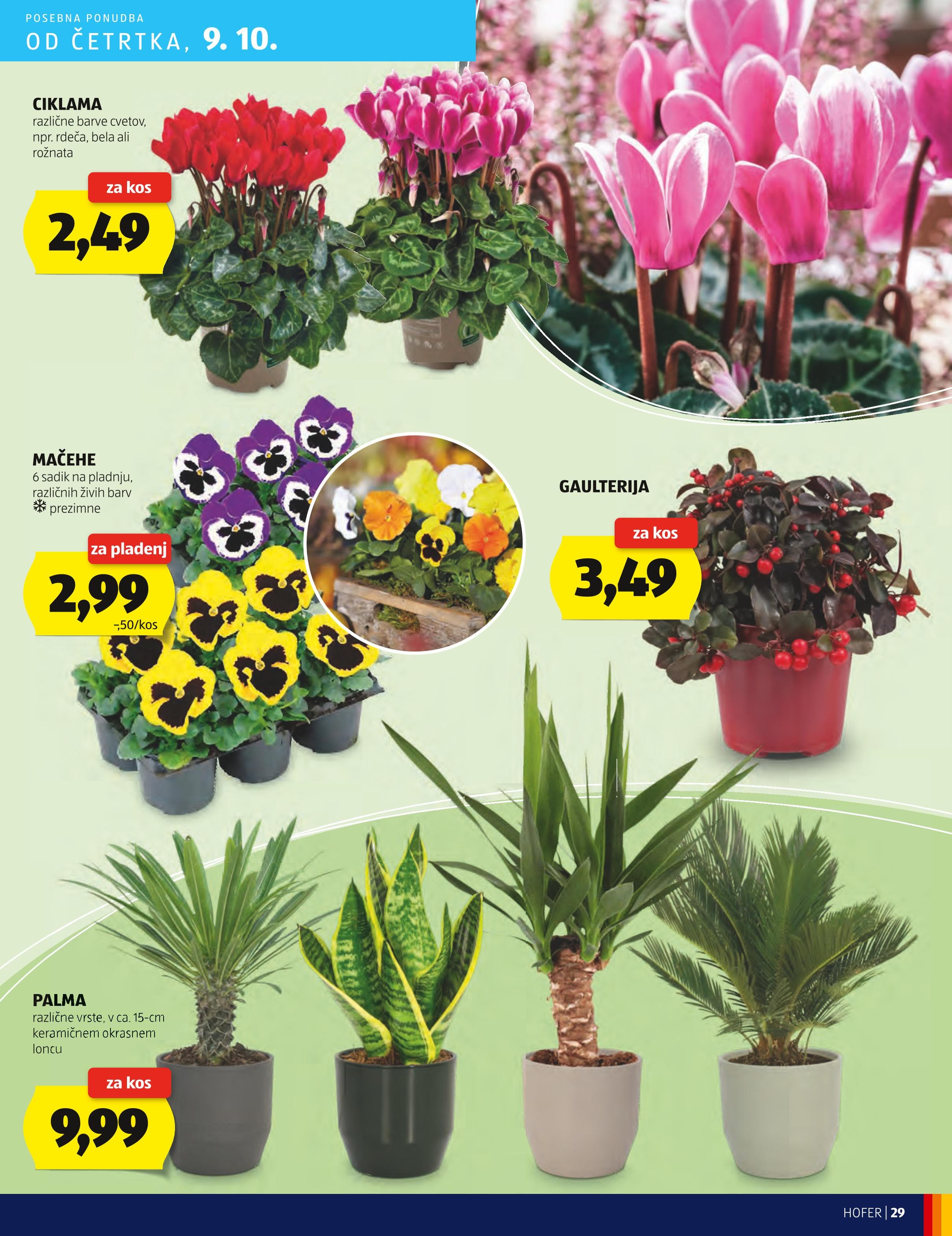 Page from catalog: Hofer cene