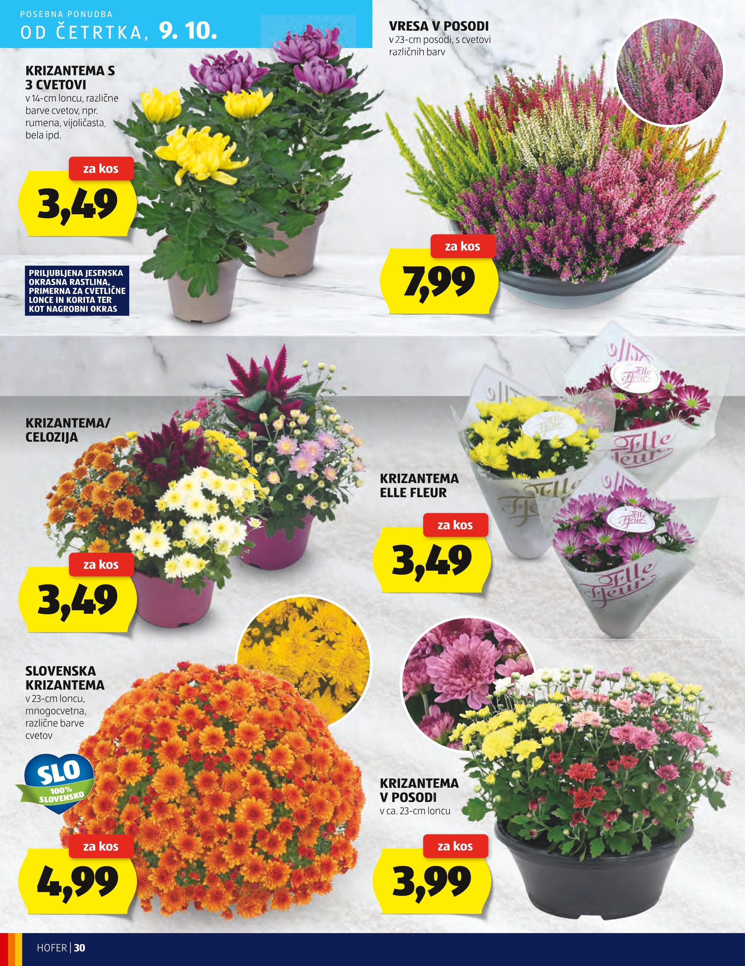 Page from catalog: Hofer cene