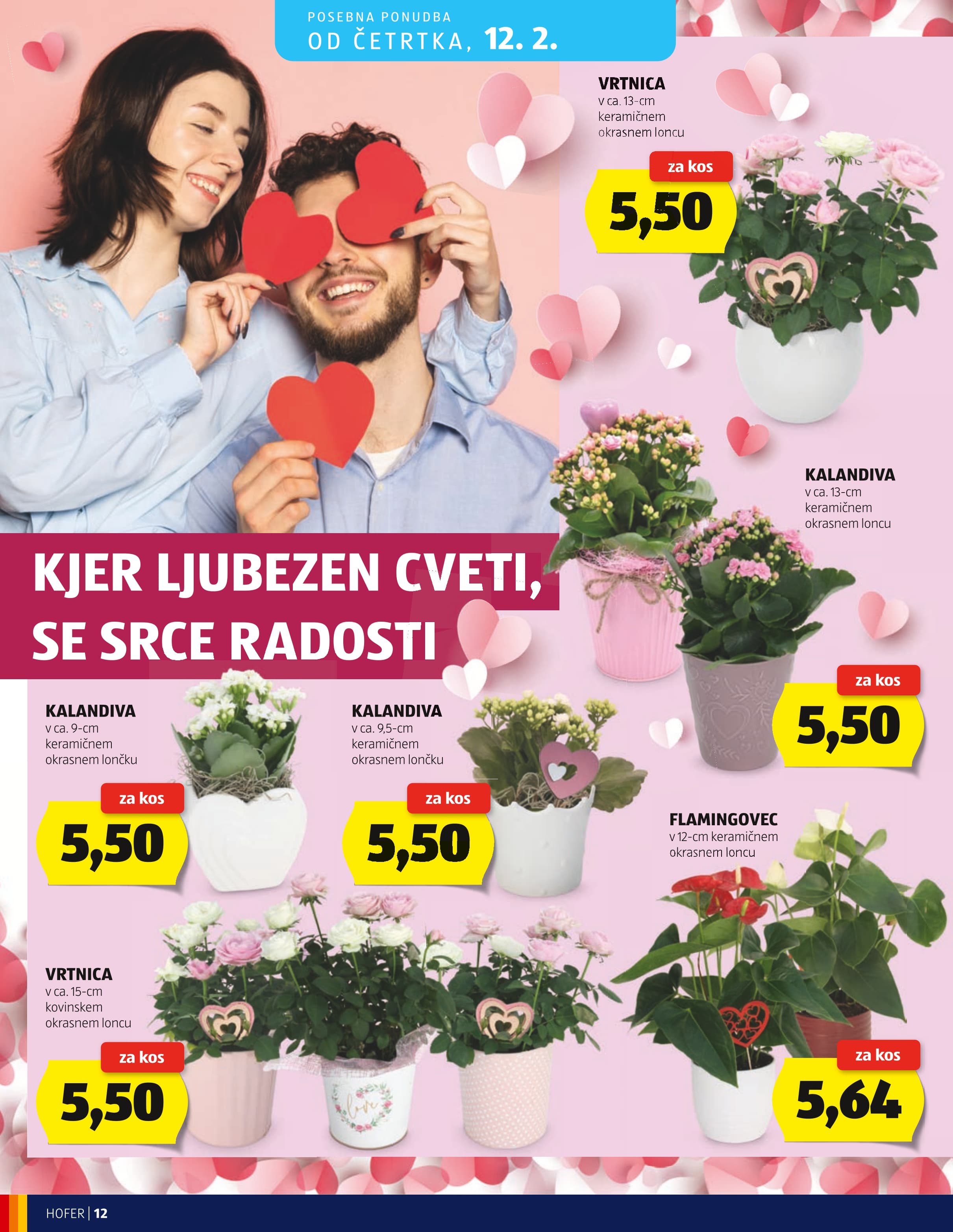 Stran 12. Hofer kataloga - Akcijska Ponudba