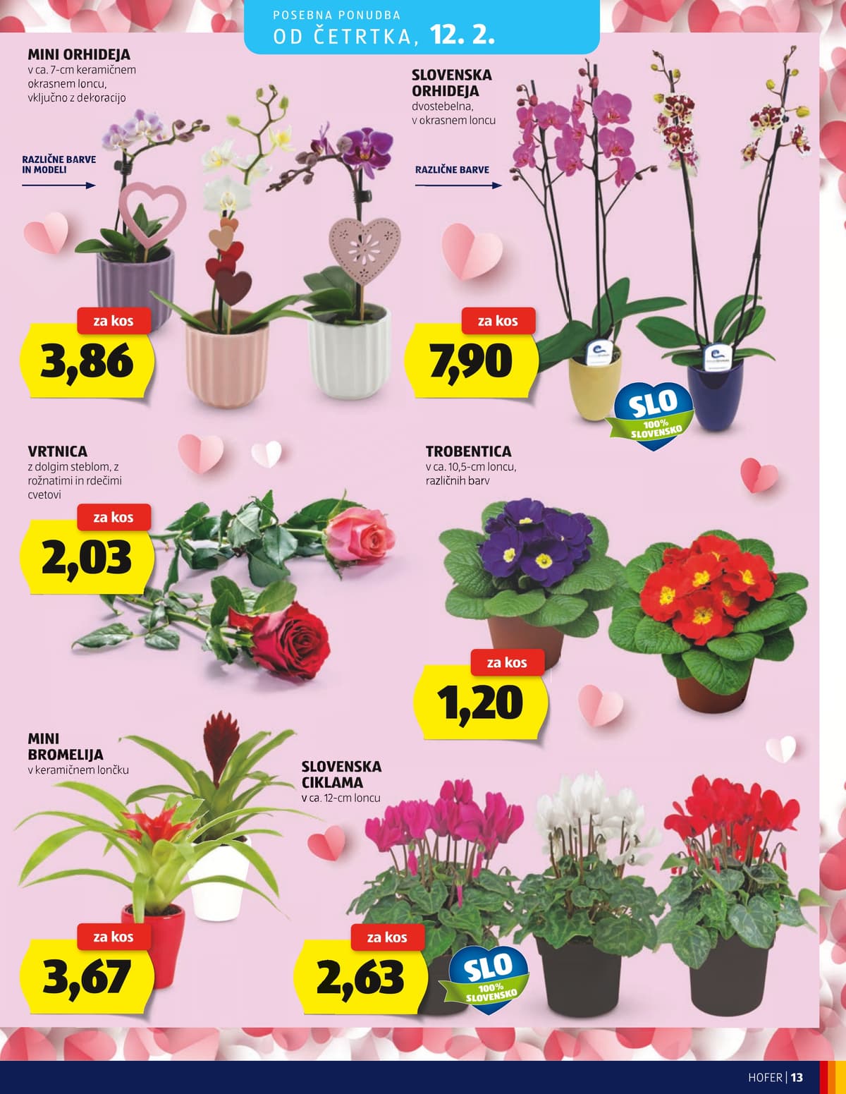 Stran 13. Hofer kataloga - Akcijska Ponudba od 14.02.2026.