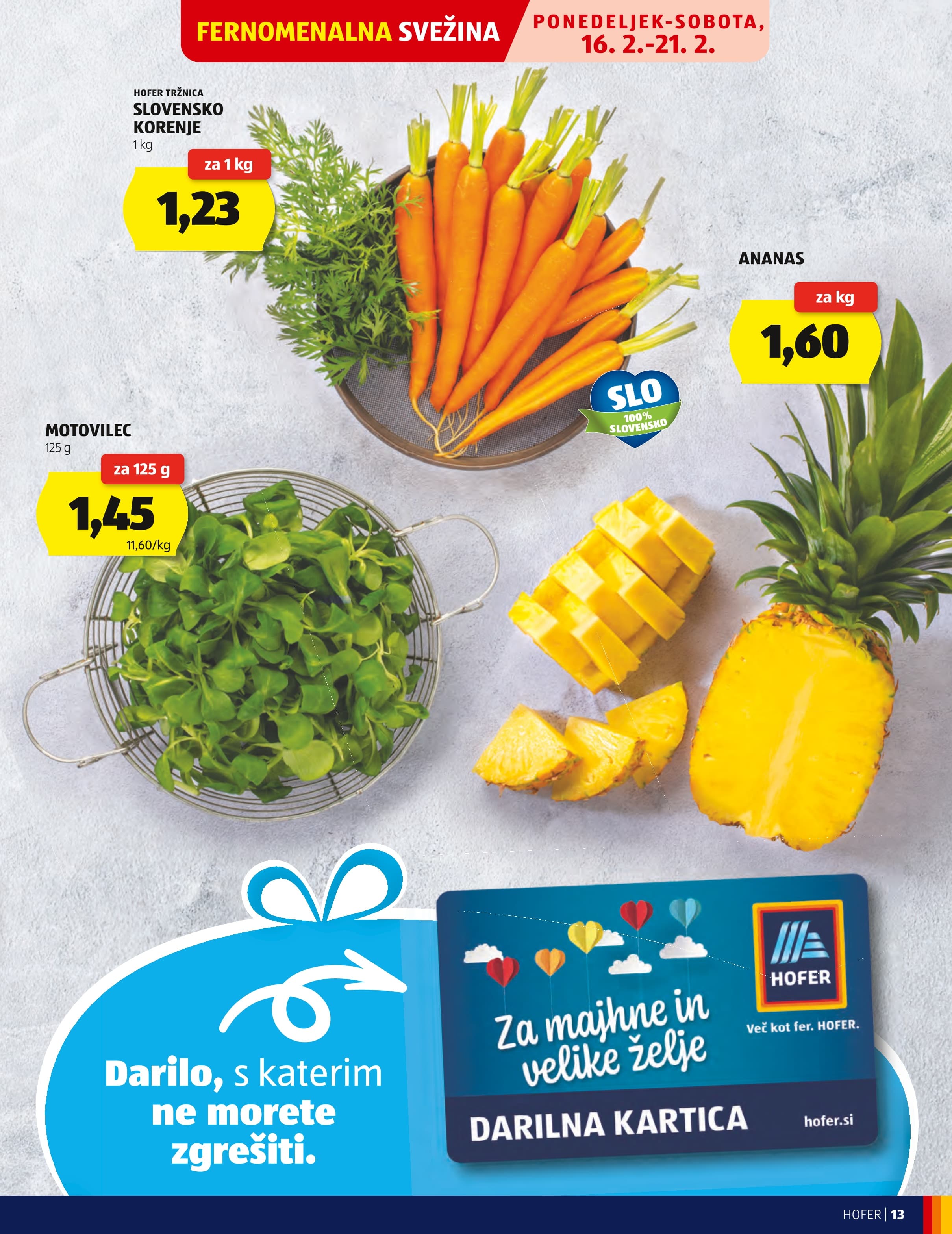 Stran 13. Hofer kataloga - Akcijska Ponudba