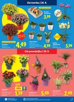 Akcijska ponudba