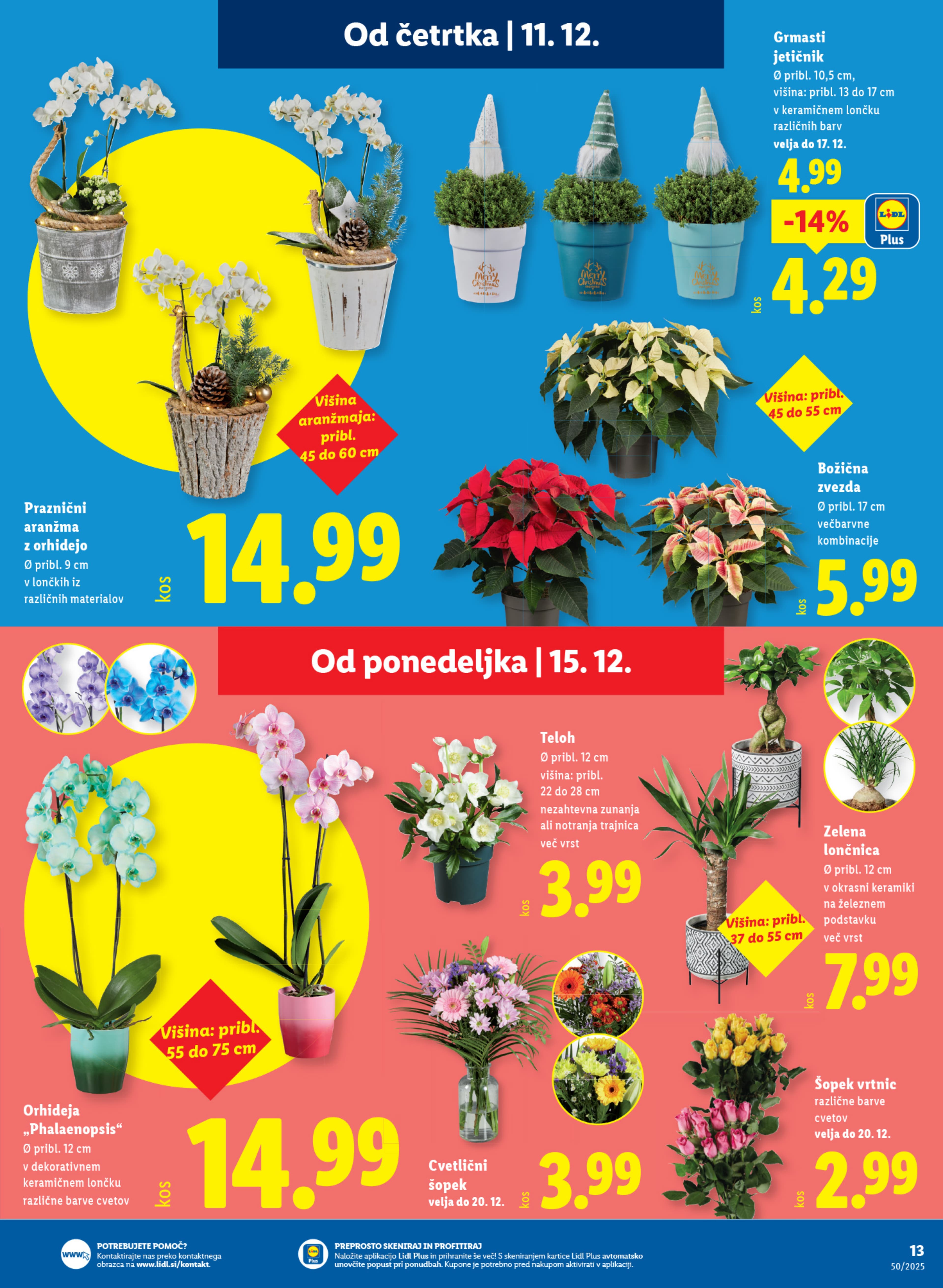 Stran 21. Lidl kataloga - Akcije od 11.12. do 17.12.2025.