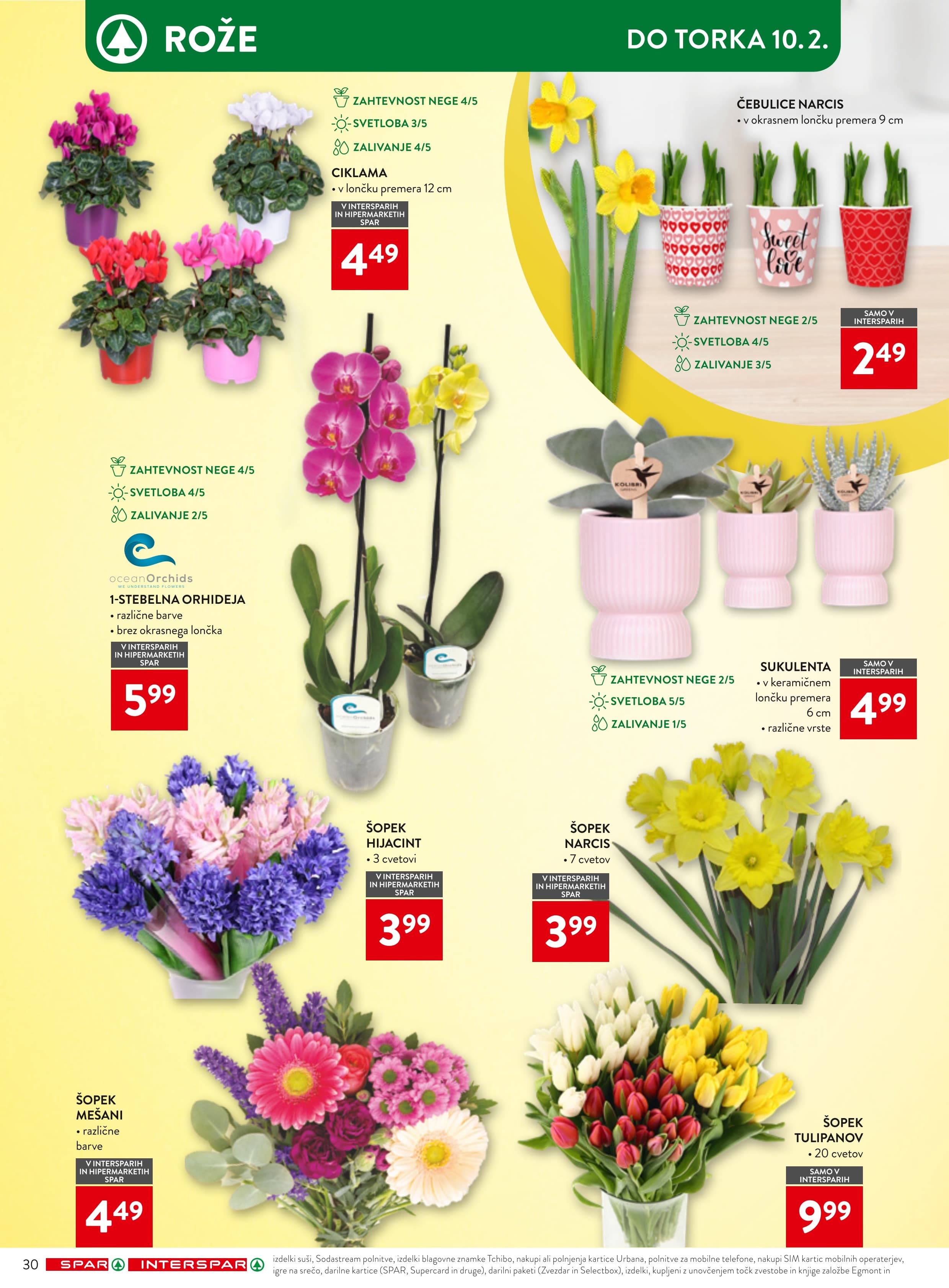 Stran 36. Spar kataloga - Tedenska Ponudba