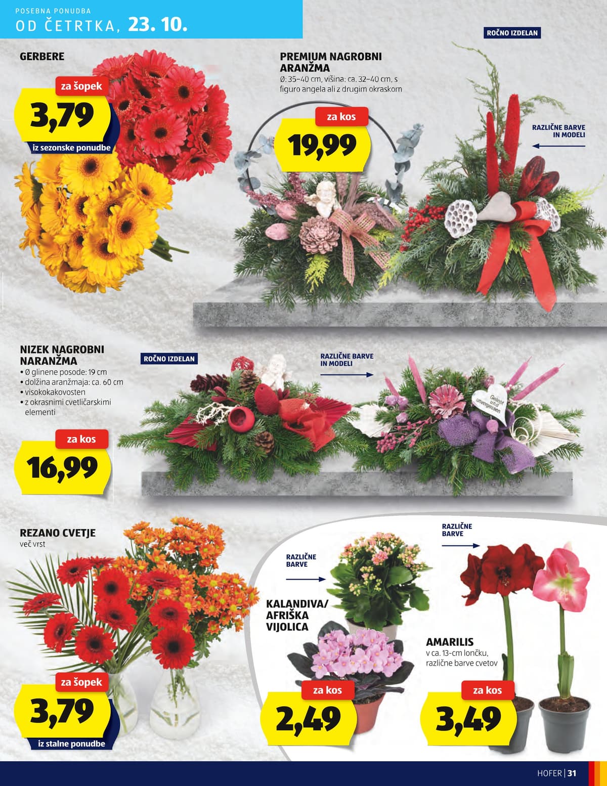 Stran 31. Hofer kataloga - Akcijska ponudba od 25.02.2026.