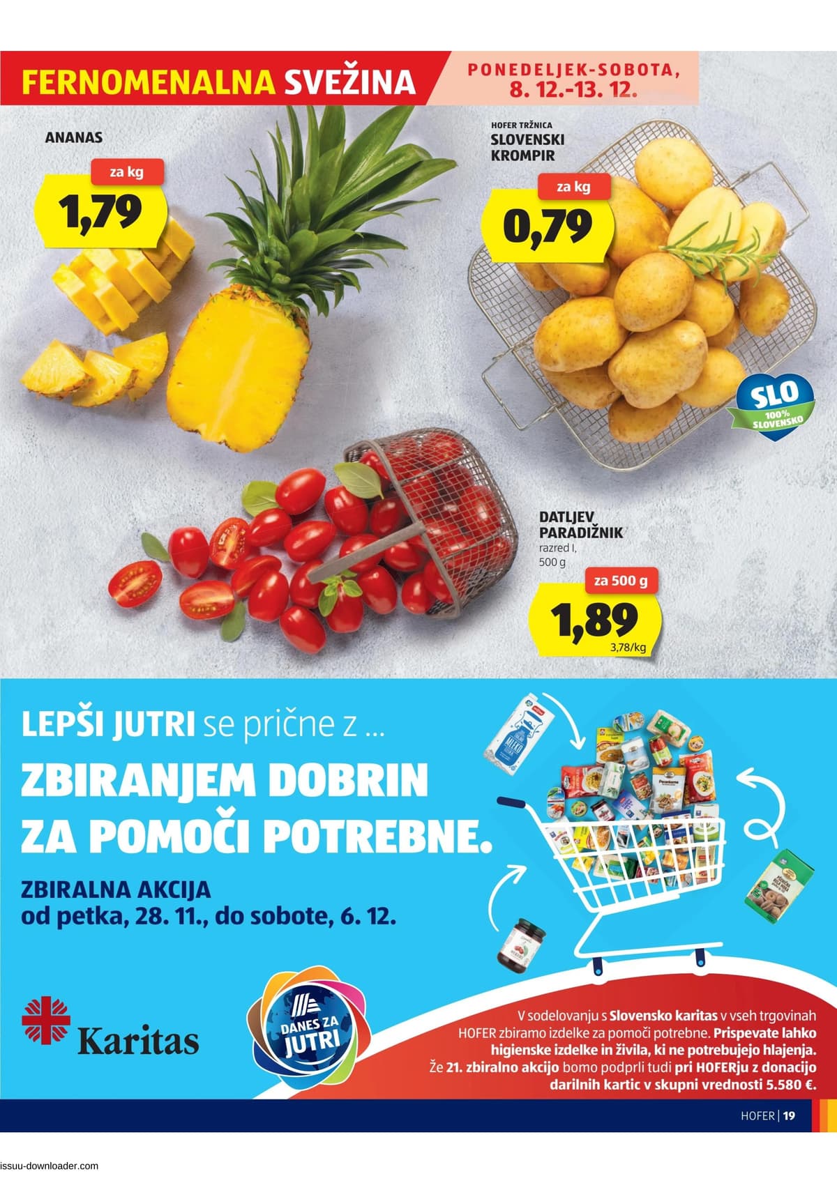 Stran 19. Hofer kataloga - Več kot fer od 02.03.2026.