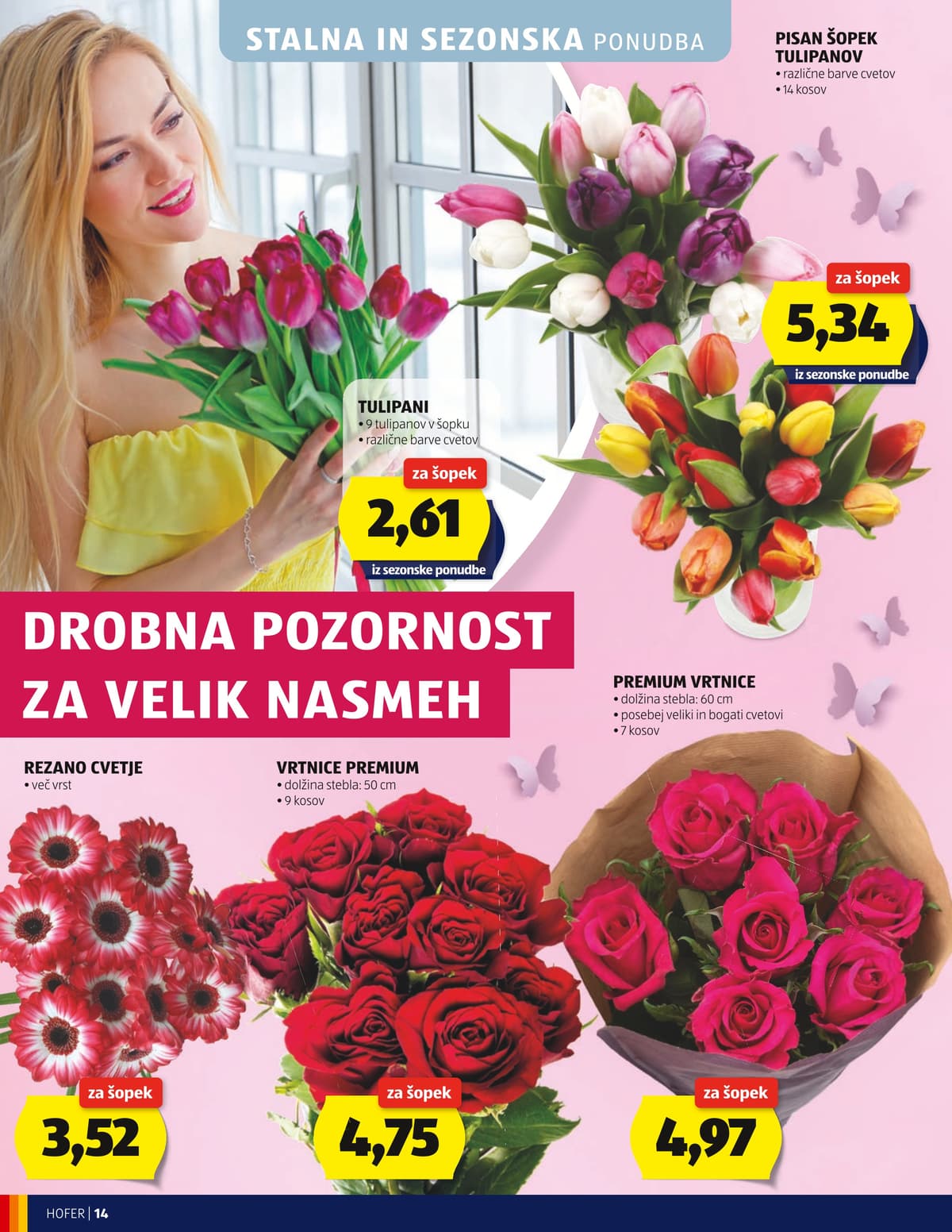 Stran 14. Hofer kataloga - Akcijska Ponudba od 04.03.2026.
