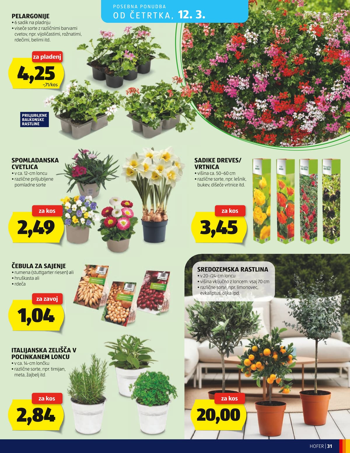 Stran 31. Hofer kataloga - Akcijska Ponudba