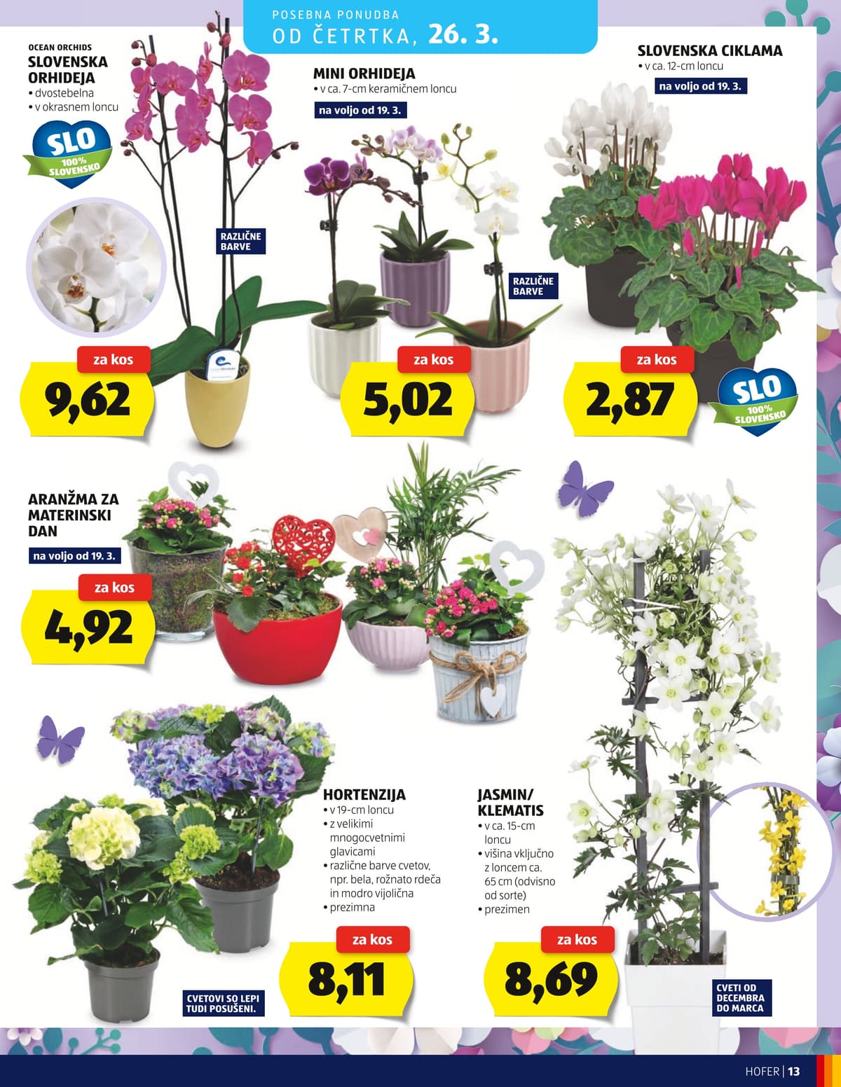 Stran 13. Hofer kataloga - Akcijska Ponudba