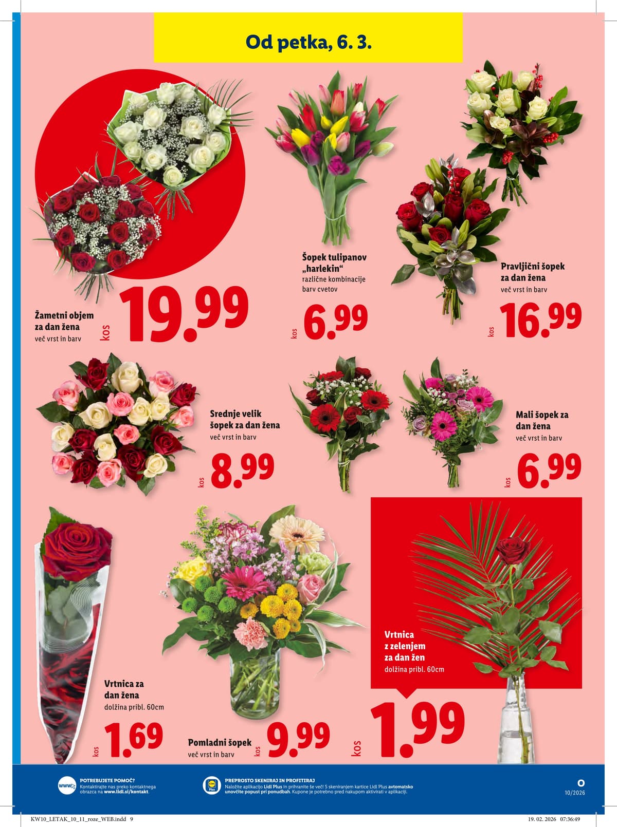 Stran 37. Lidl kataloga - Akcijska Ponudba od 02.03.2026.