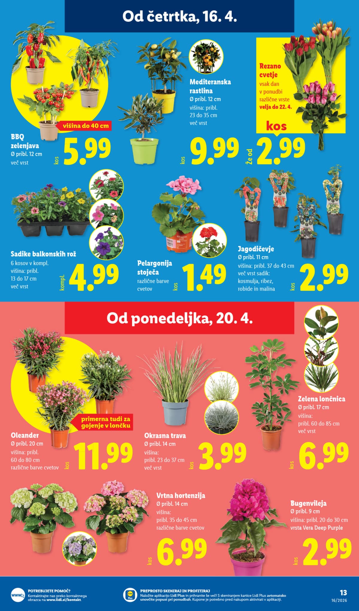 Stran 31. Lidl kataloga - Akcijska Ponudba od 13.04.2026.
