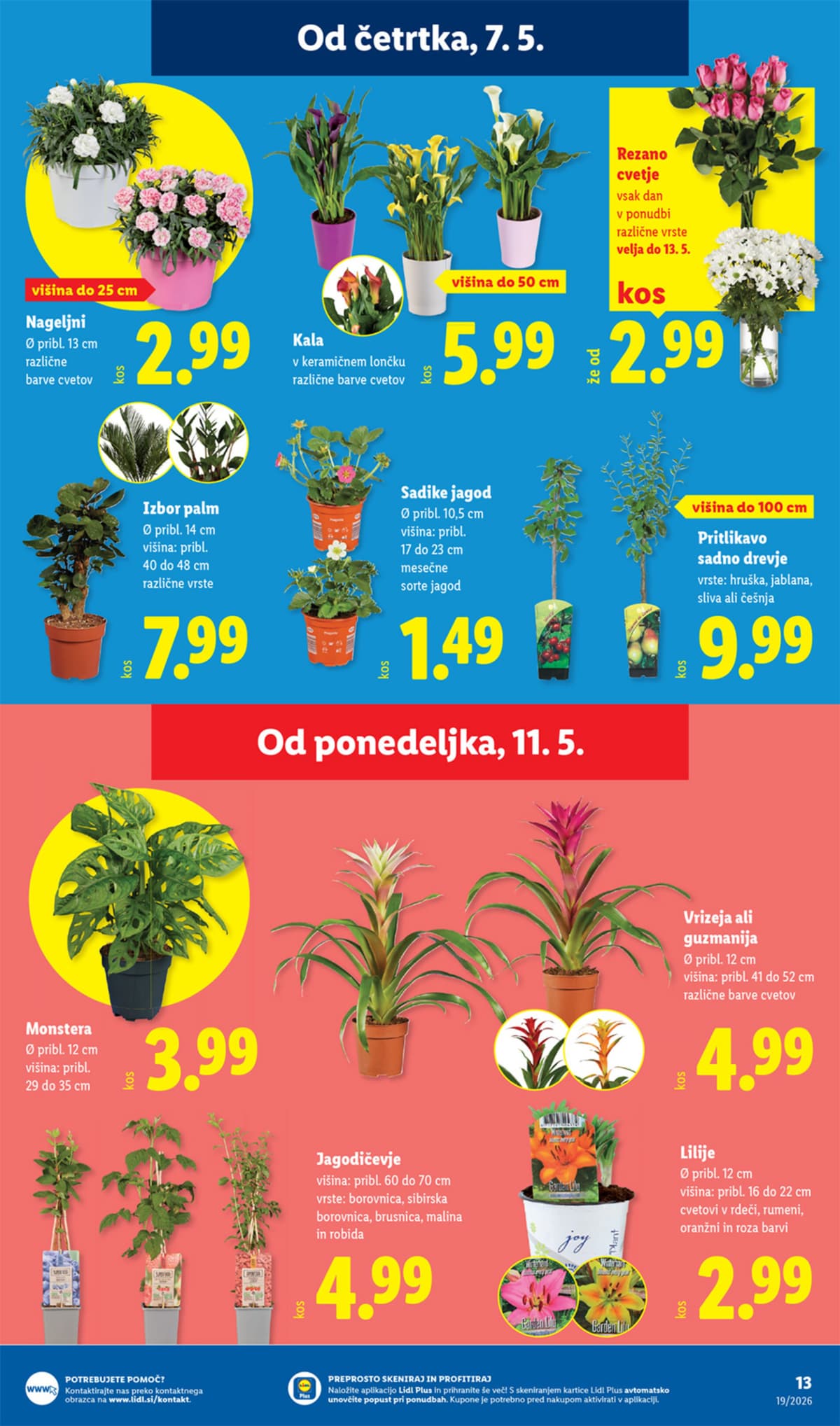 Stran 25. Lidl kataloga - Akcijska Ponudba od 05.05.2026.