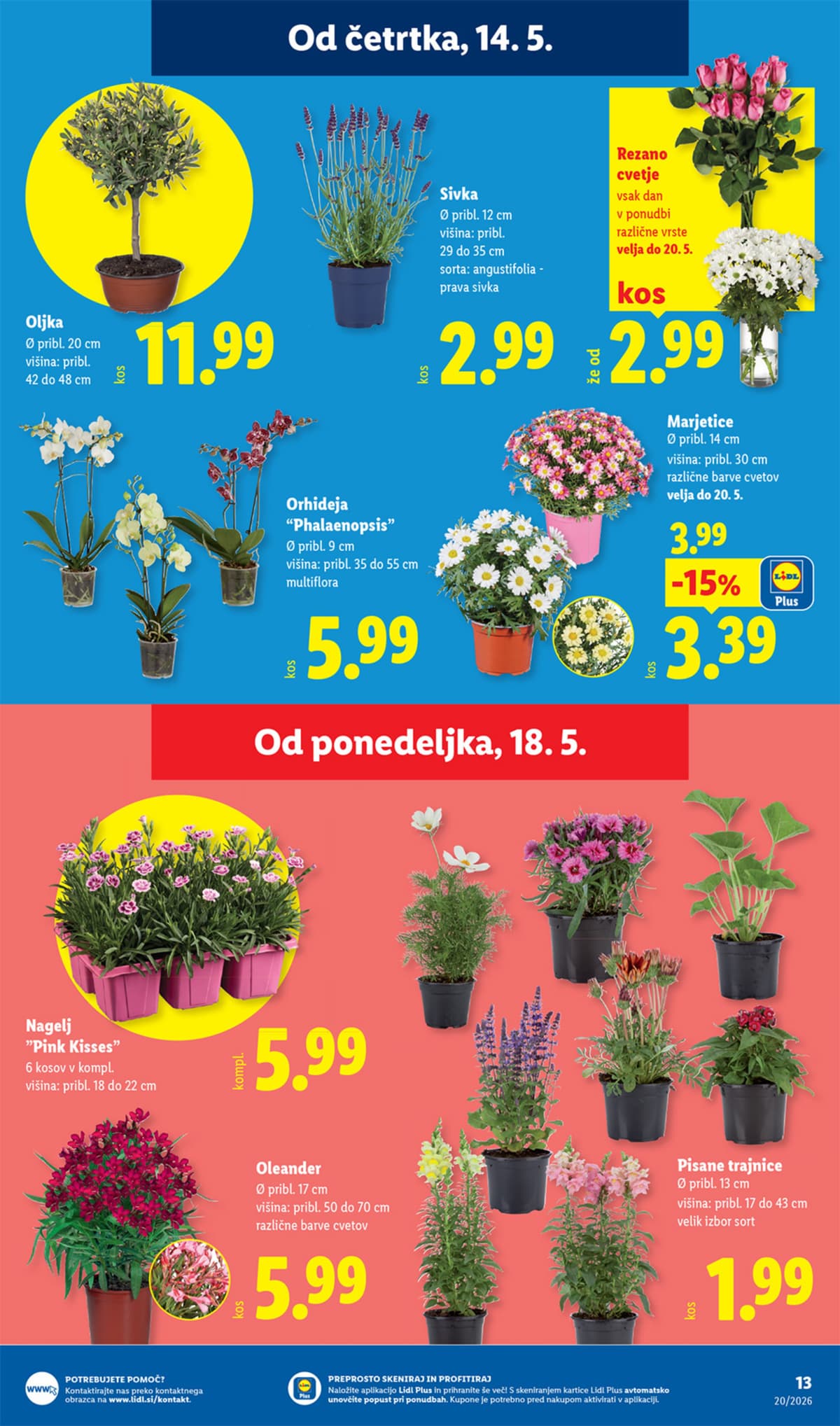 Stran 33. Lidl kataloga - Akcijska Ponudba od 11.05.2026.