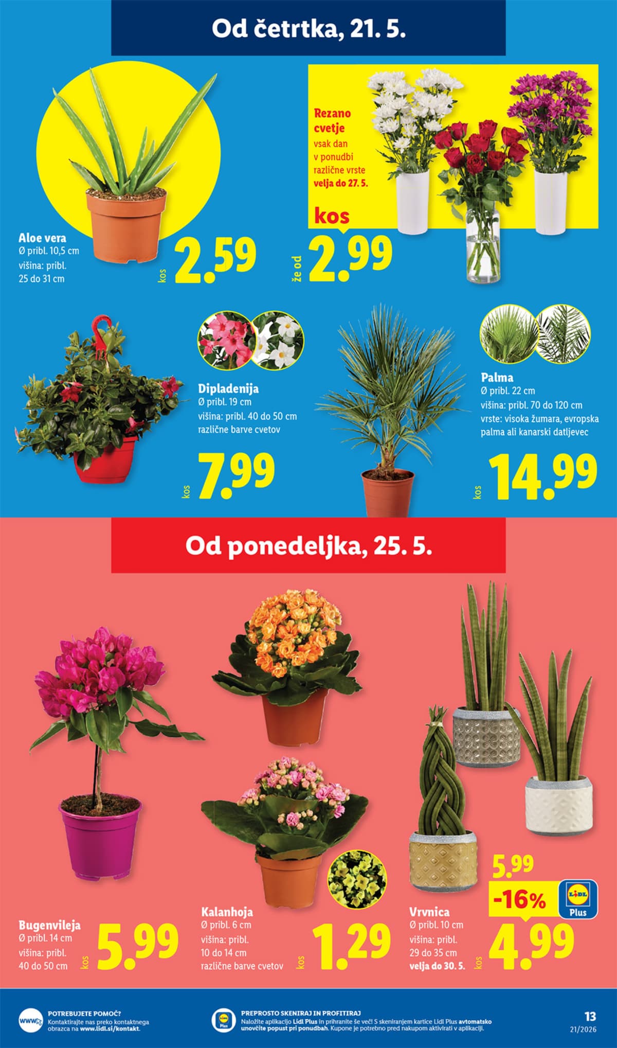 Stran 25. Lidl kataloga - Akcijska Ponudba od 18.05.2026.