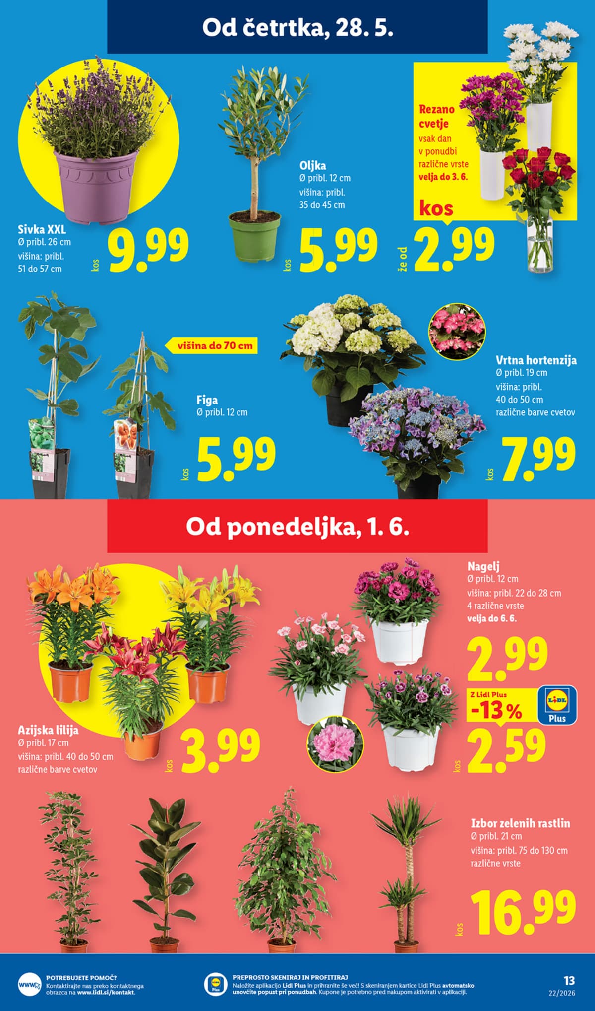 Stran 25. Lidl kataloga - Akcijska Ponudba od 25.05.2026.
