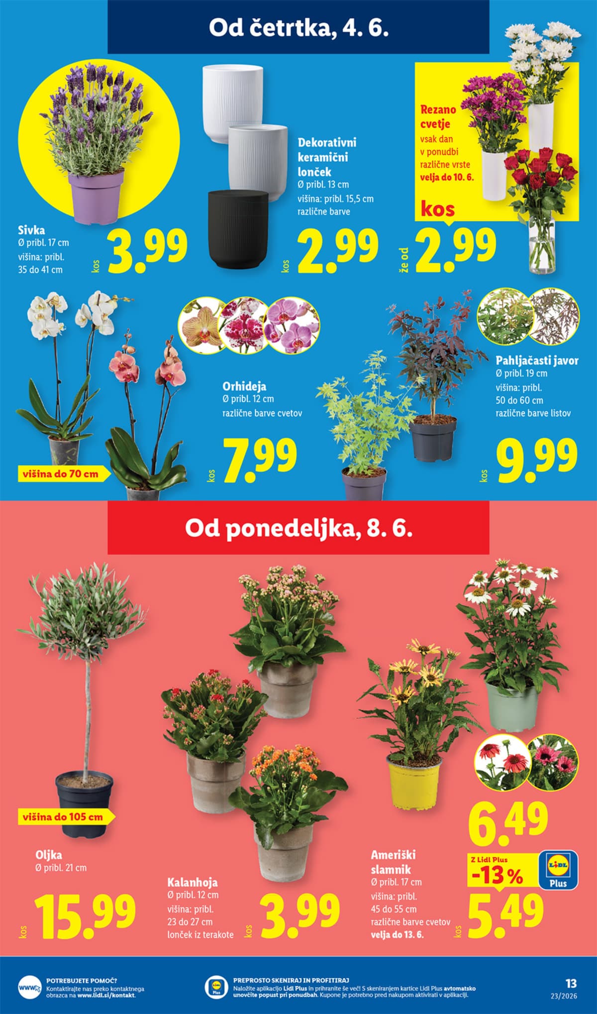 Stran 31. Lidl kataloga - Akcijska Ponudba od 01.06.2026.