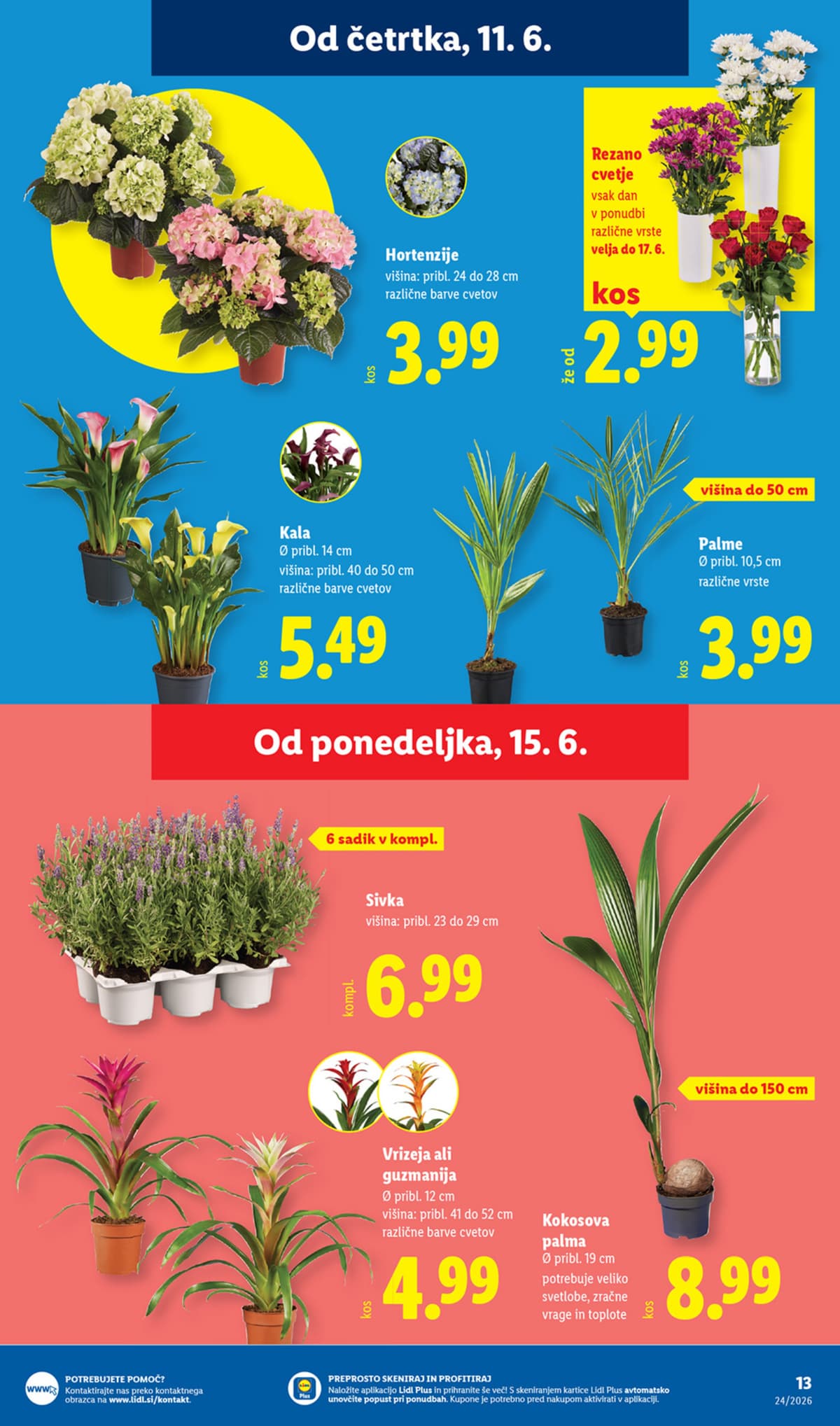 Stran 31. Lidl kataloga - Akcijska Ponudba od 08.06.2026.