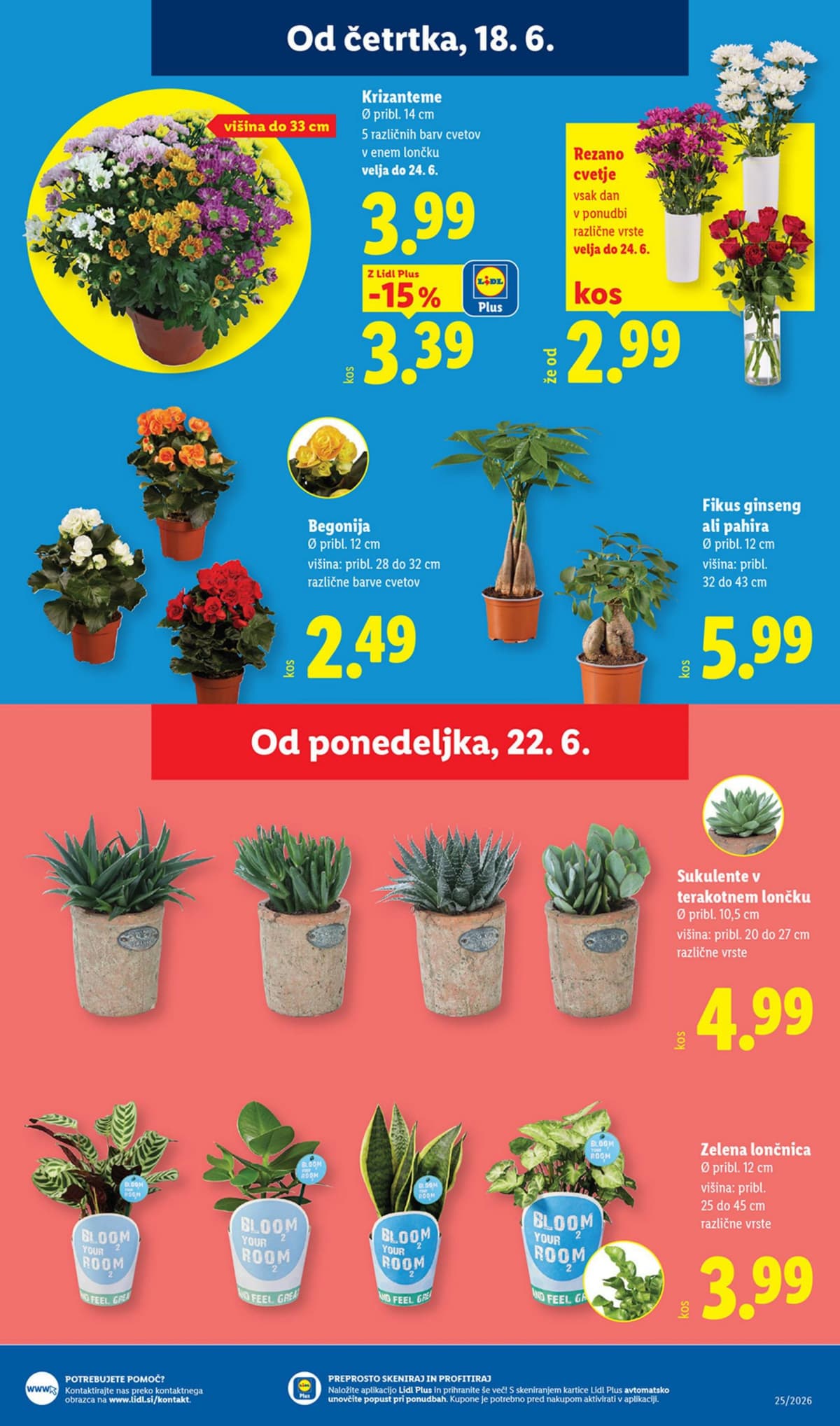 Stran 23. Lidl kataloga - Živila od 15.06.2026