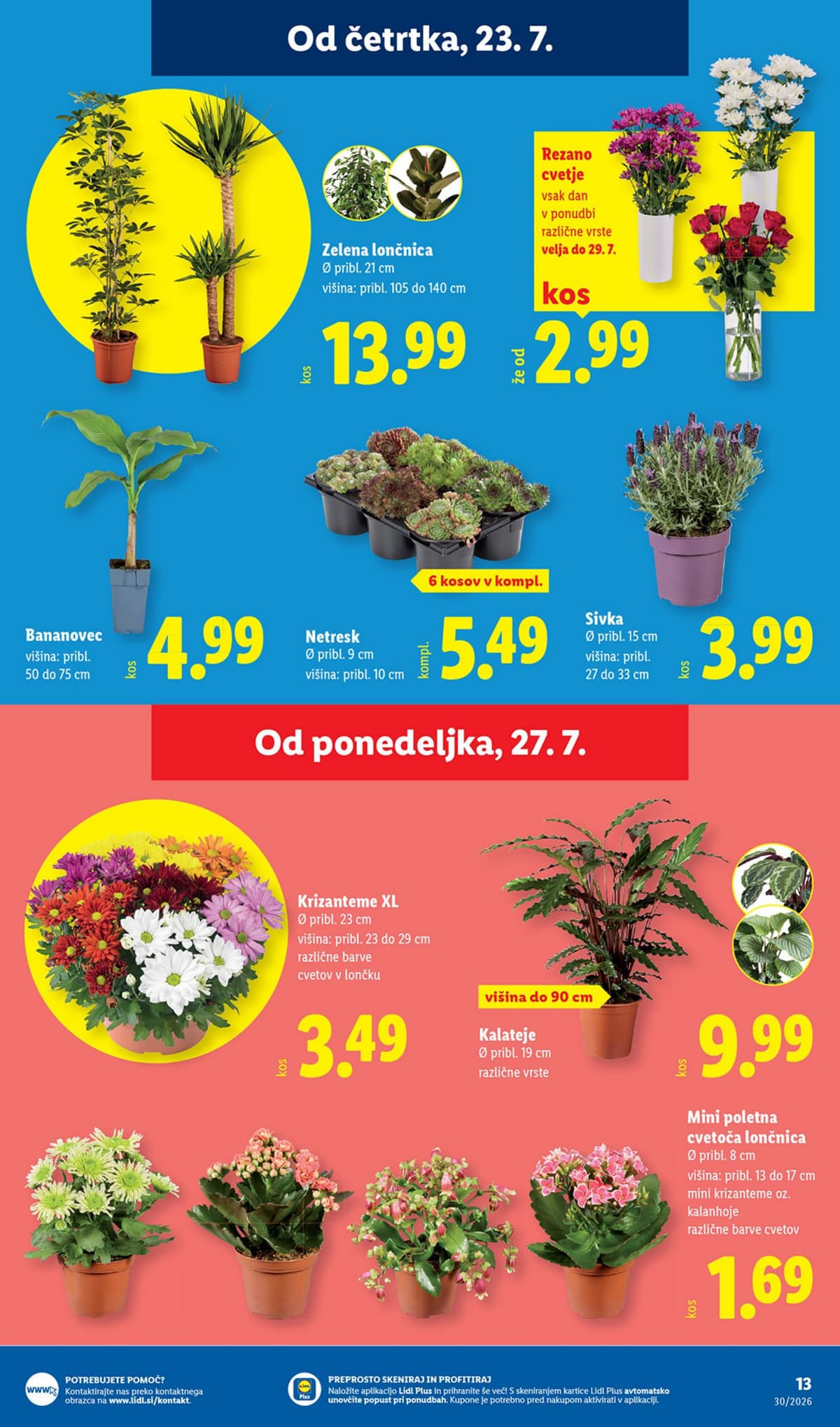 Stran 31. Lidl kataloga - Živila od 21.07.2026
