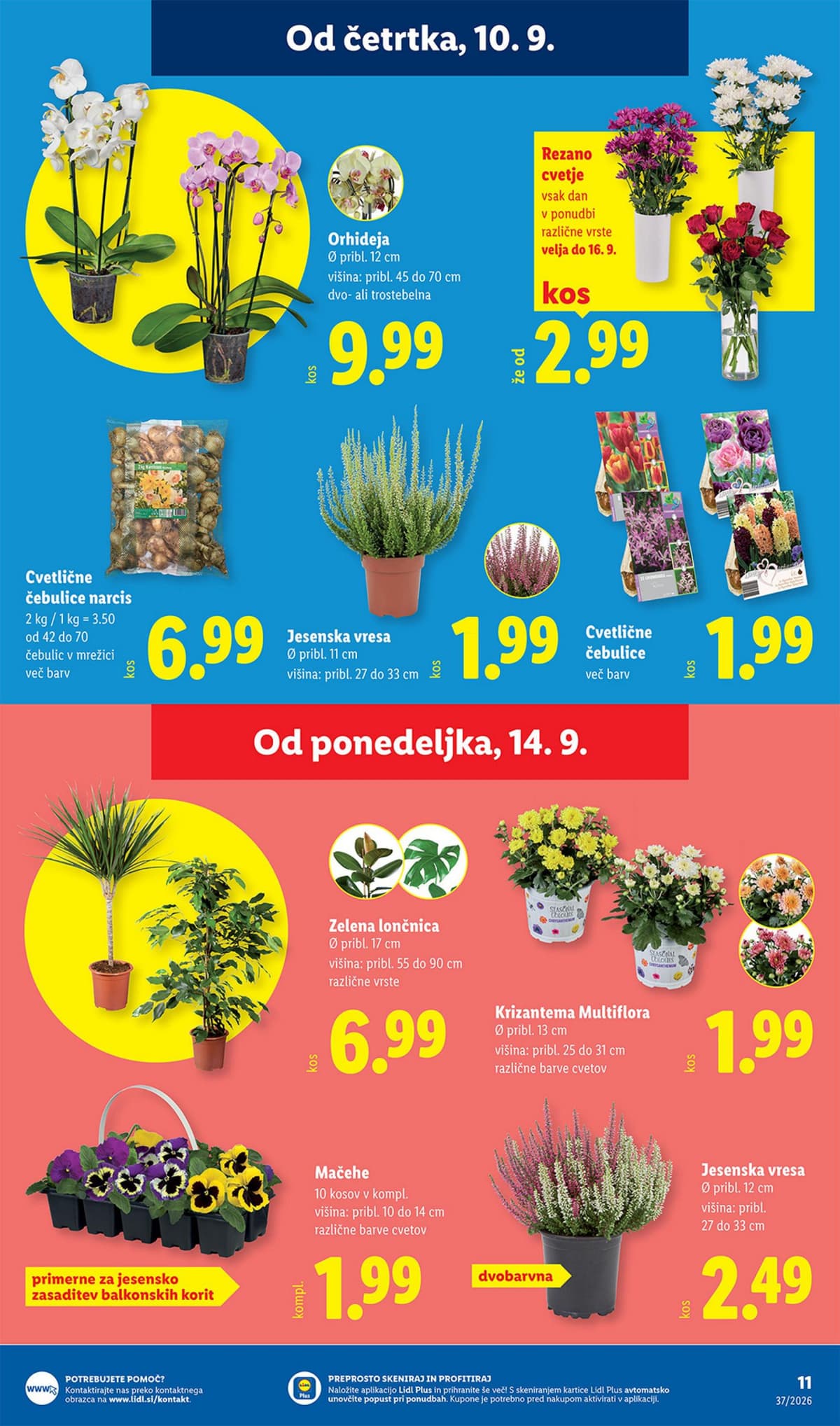 Stran 17. Lidl kataloga - Živila od 07.09.2026.