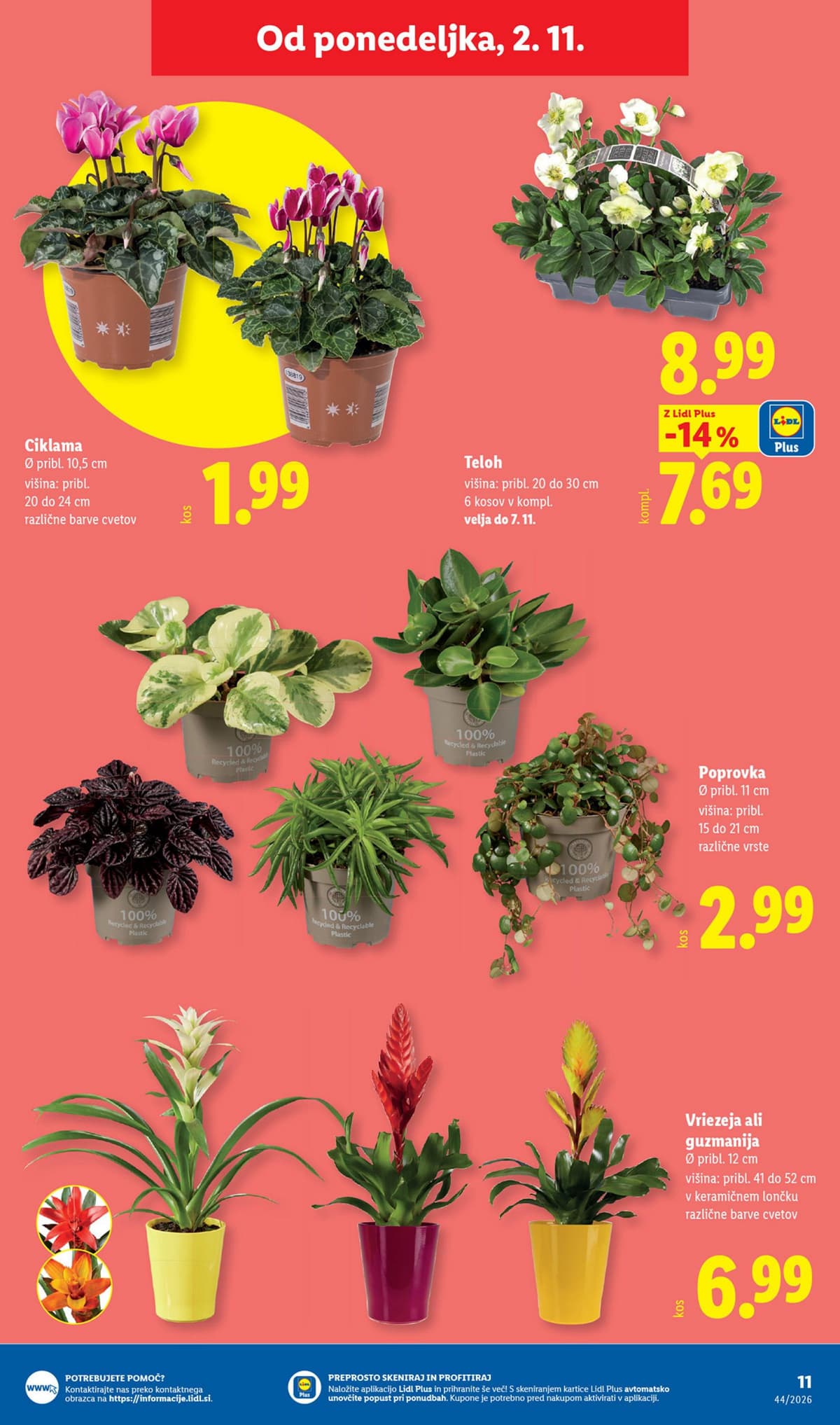 Stran 29. Lidl kataloga - Živila od 26.10.2026.