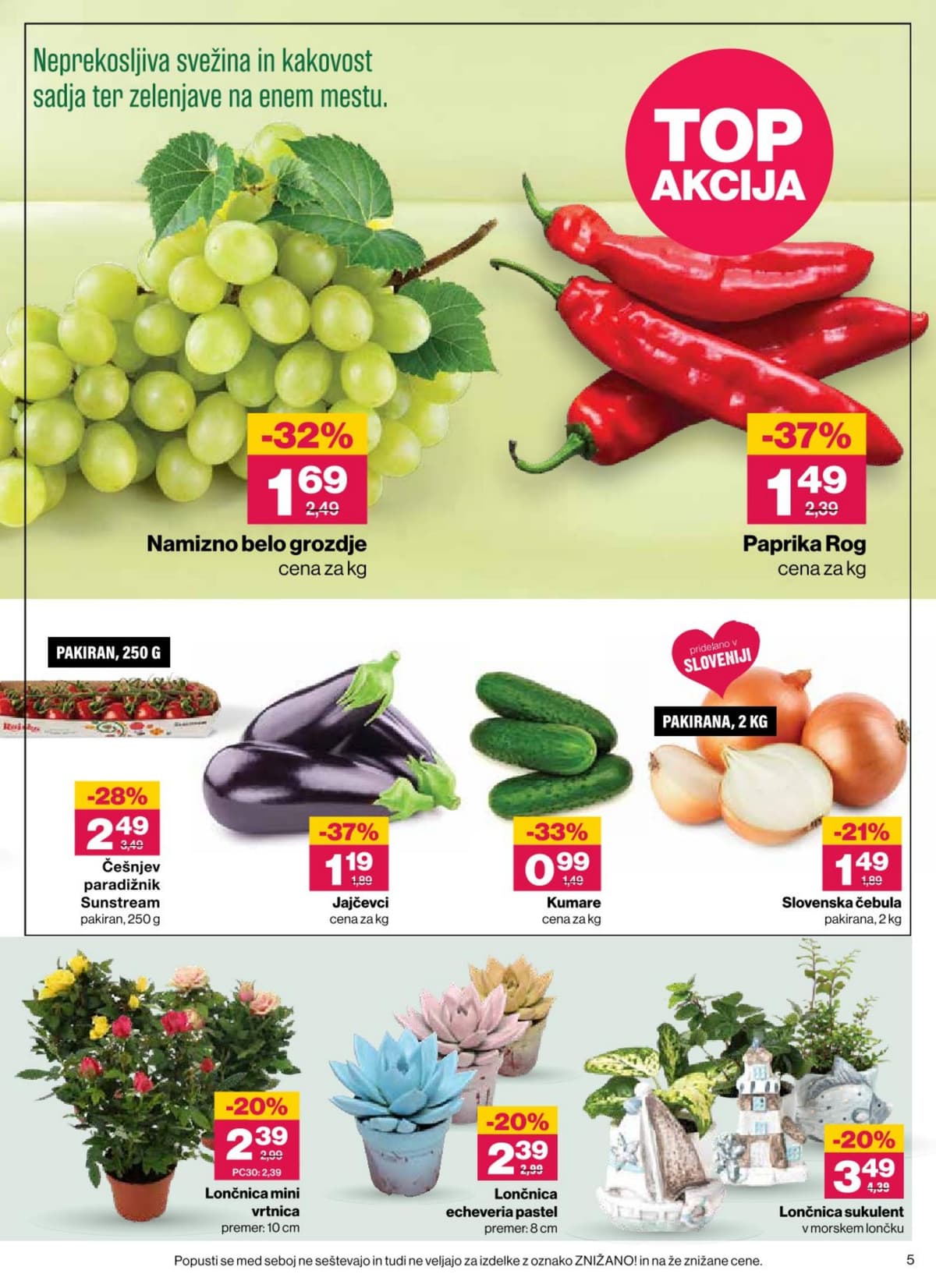 Stran 5. Mercator kataloga - Akcijska Ponudba od 19.08.2026.