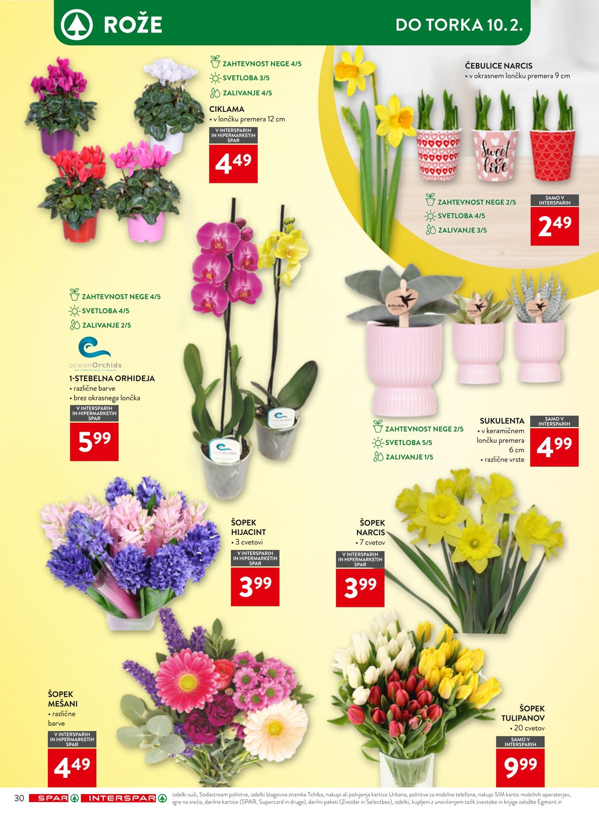 Stran 36. Spar kataloga - Tedenska Ponudba od 06.03.2026.