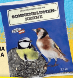 Sončnična semena za ptice