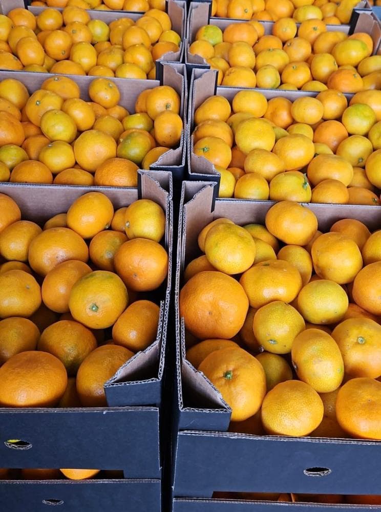 Mandarine 1 kg Akcija v trgovini Spar