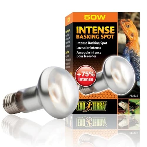 Exo Terra Intense grelne žarnice UVA Akcija v trgovini Mr. Pet