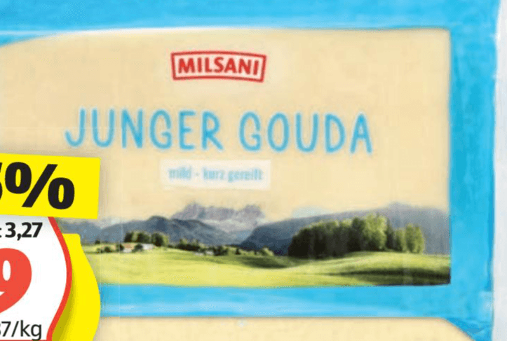 Milsani sir Gavda 450 g Akcija v trgovini Hofer
