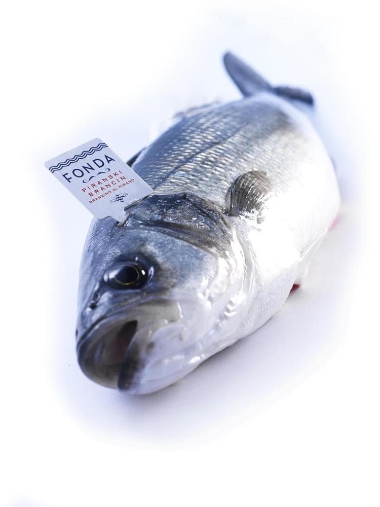 Brancin 1 kg Fonda Akcija v trgovini Spar