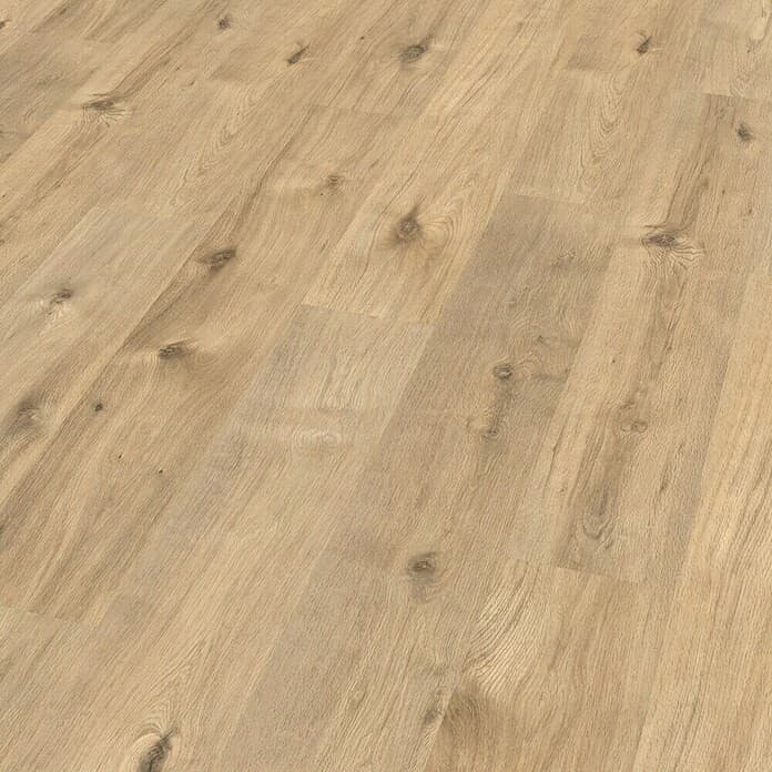 Laminat Bremberg 7 mm, 2,494 m² Akcija v trgovini Bauhaus