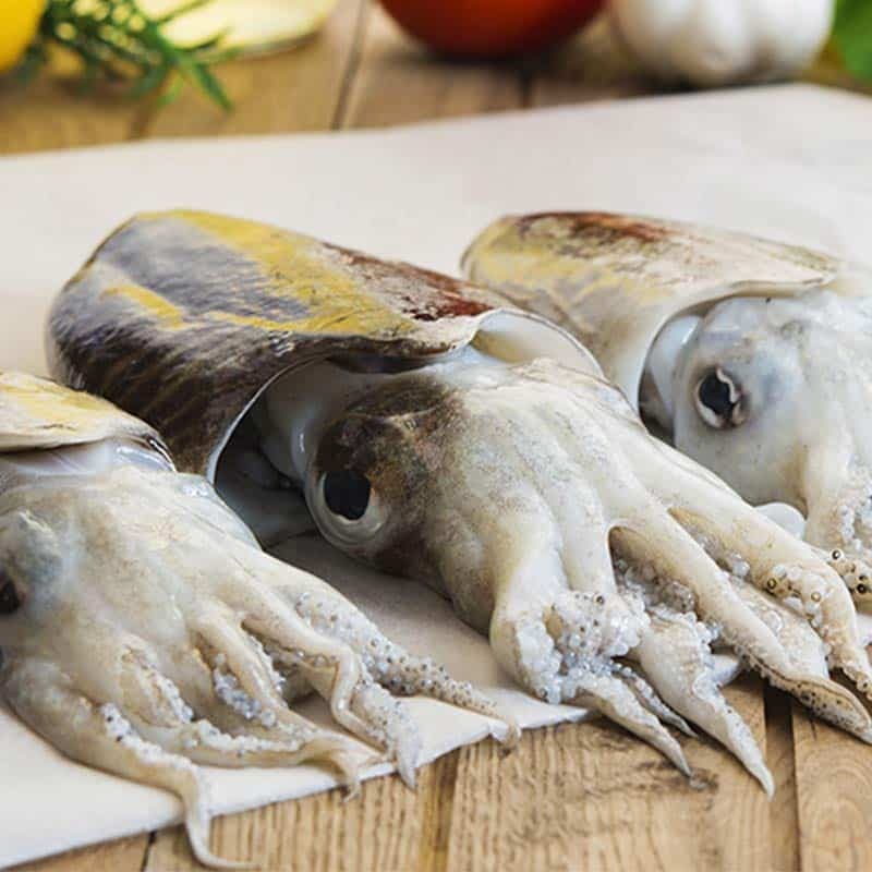 Sipe RIBARNICA Akcija v trgovini Mercator