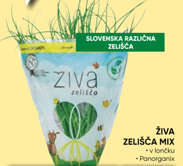 Živa zelišča mix