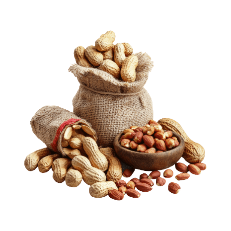 Kategorija proizvoda Arašidi in oreščki