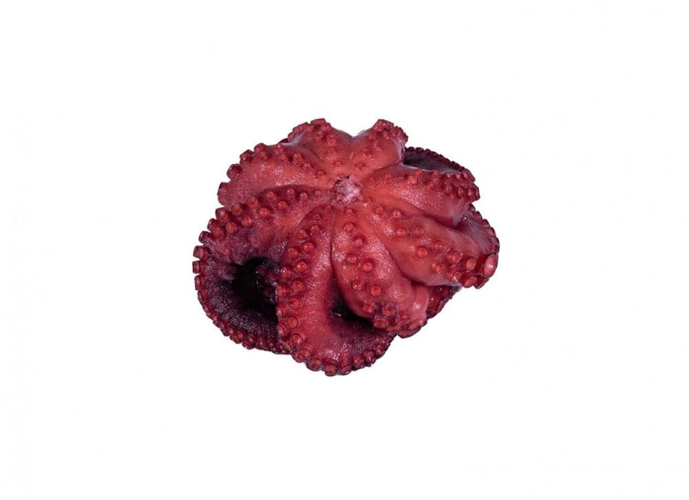 Kuhana hobotnica 1 kg Akcija v trgovini Spar