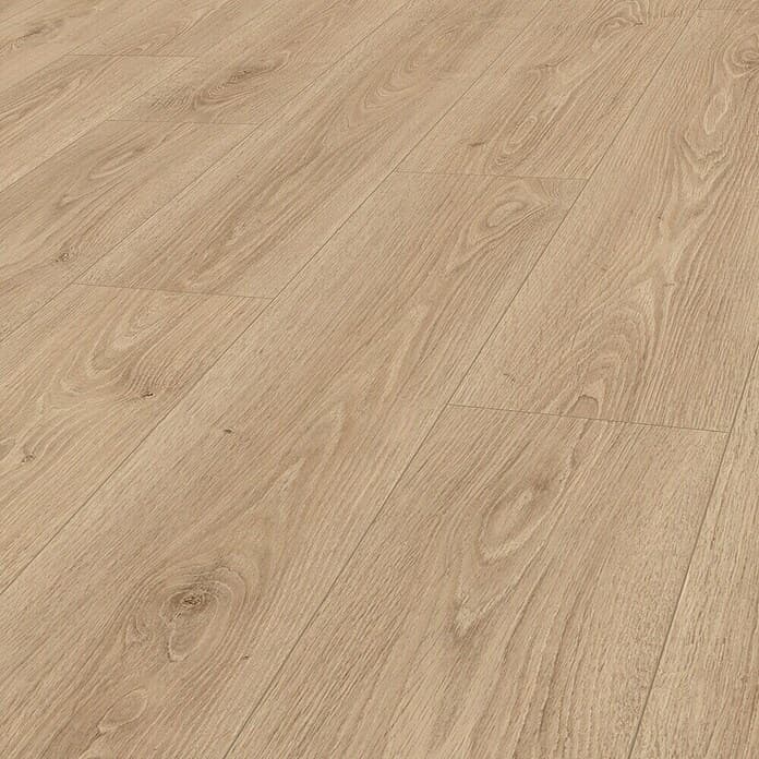 Laminat Trevi 2,967 m² Akcija v trgovini Obi