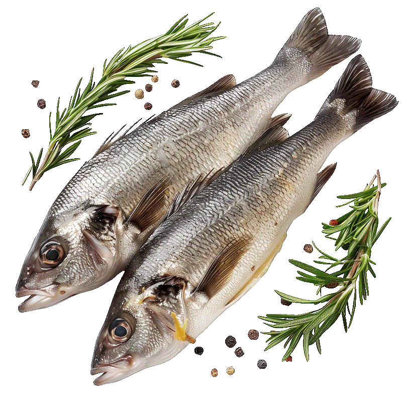 Kategorija proizvoda Sveža riba in morski sadeži