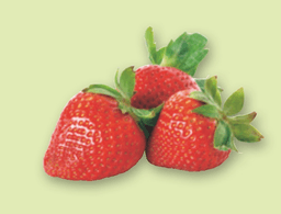 Jagode