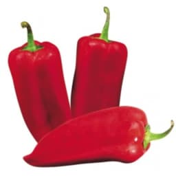 Paprika rog