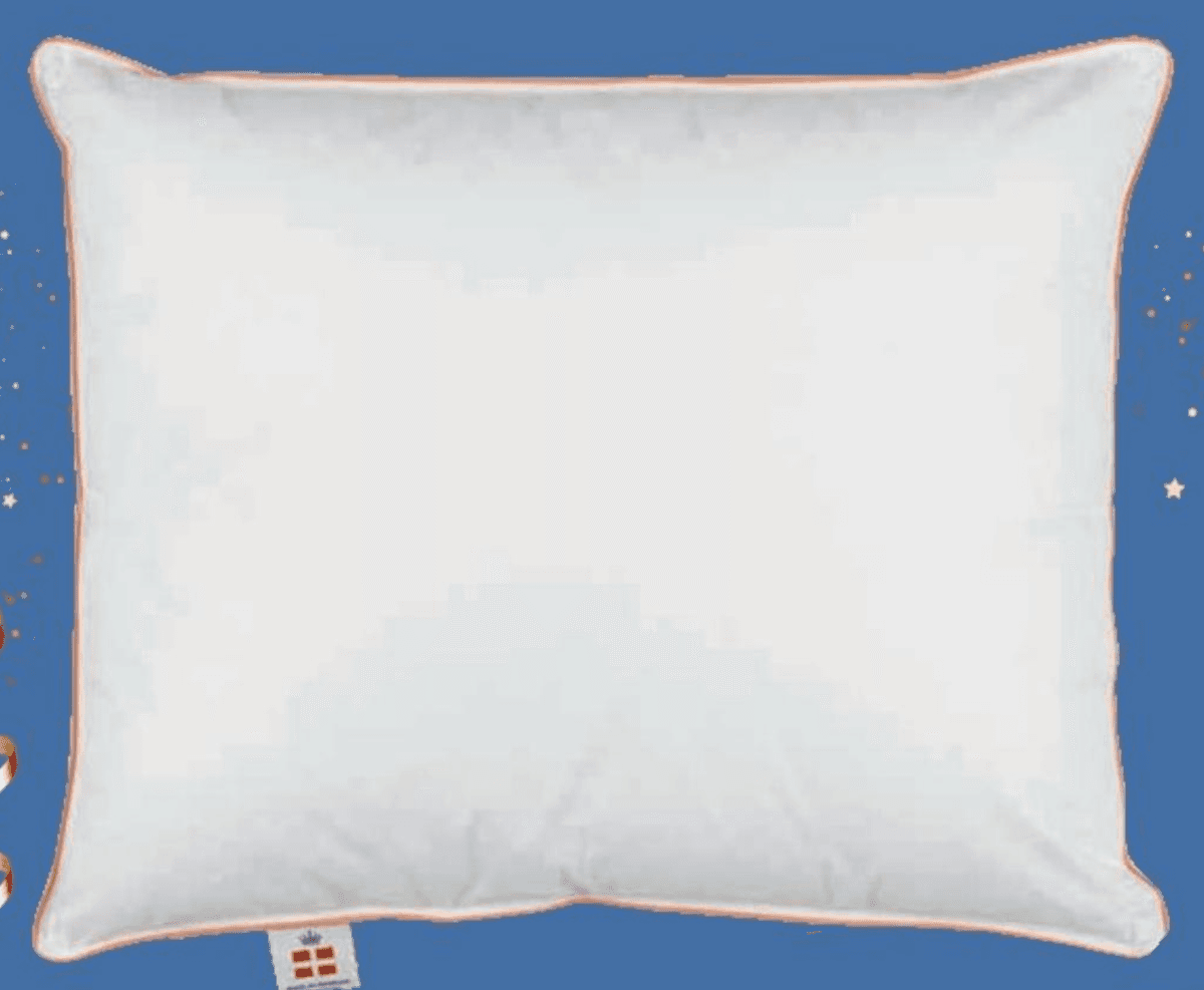 Vzglavnik Royal Nordic 50x70 cm FOSSFLAKES Akcija v trgovini Jysk