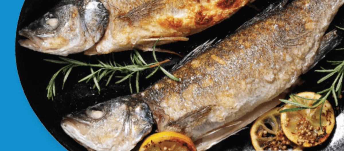 Naša ribarnica Svež jadranski brancin 700 g Akcija v trgovini Lidl