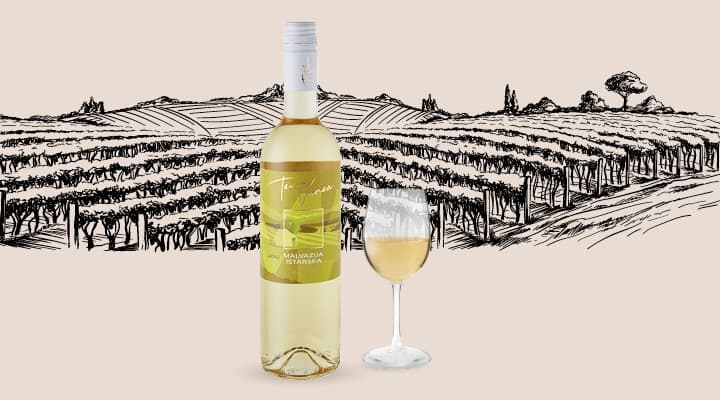 Chardonnay Terra Vinea 0,75 l Akcija v trgovini Mercator