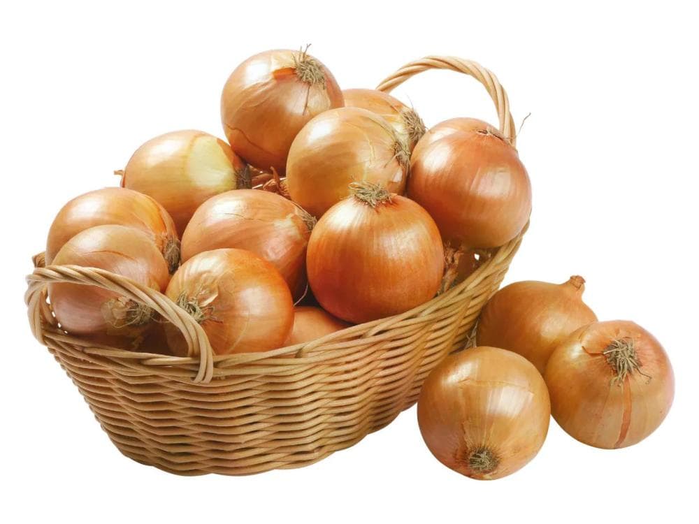 Slovenska rumena čebula 1 kg Akcija v trgovini Lidl