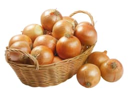 Slovenska rumena čebula