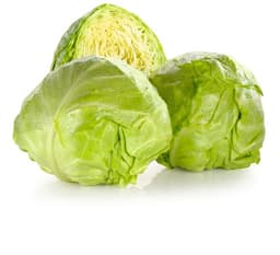 Mlado zelje