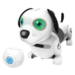 Robo Kuža Junior