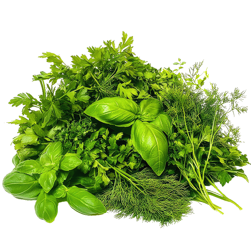 Kategorija proizvoda Začimbe