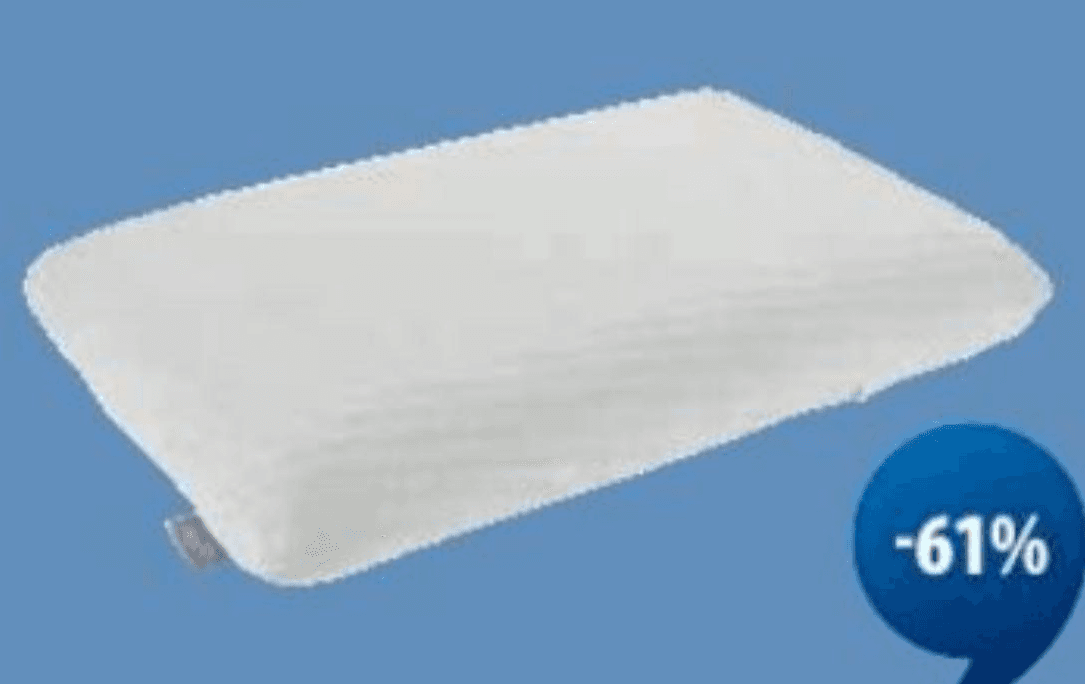 WELLPUR Vzglavnik VIGLEN 40x60x11 cm Akcija v trgovini Jysk